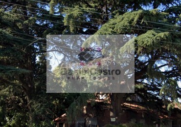 Chalet de estilo, 4 ambientes , a RECICLAR ! Gregorio de Laferrere